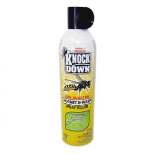 Knock Down Kill Wasps and Hornets KD131D