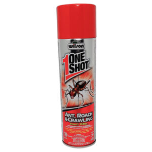 One Shot Ants / Cockroaches