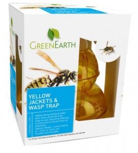 Green Earth – Wasp trap