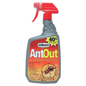 AntOut – Contrôle les fourmis à l’intérieur et à l’extérieur (1L)